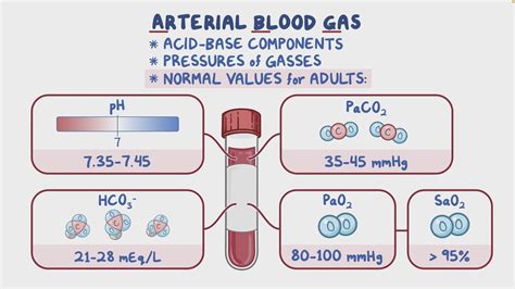 血液氣體分析目的|Blood Gas 血液氣體分析